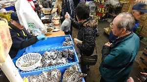 20170128 - ̂胏J̃VuVuƃJ̑ -_12