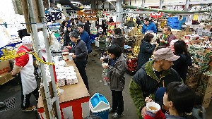 20170129 - z̎H -_8