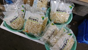 20170204 - T̔ł -_9