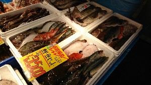 20170204 - T̔ł -_44