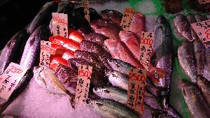 20170204 - T̔ł -_52