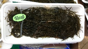 20170204 - T̔ł -_61