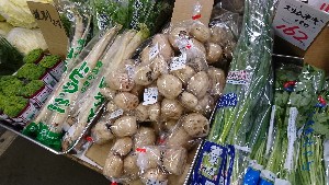 20170211 - T̔ł-_7