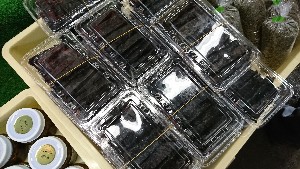 20170211 - T̔ł-_22