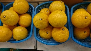 20170211 - T̔ł-_28