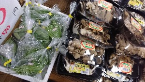 20170211 - T̔ł-_35