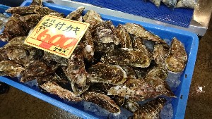 20170211 - T̔ł-_44