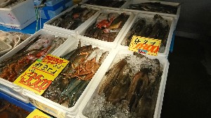 20170211 - T̔ł-_49