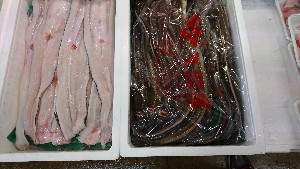 20170211 - T̔ł-_52