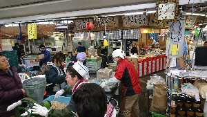 20170211 - {̎薡X̂悤-_2
