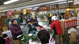 20170211 - {̎薡X̂悤-_3