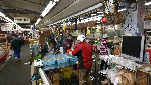 20170211 - {̎薡X̂悤-_4