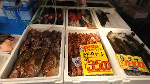 20170218 - T̔ł@-_45