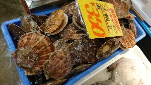 20170218 - T̔ł@-_46