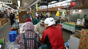 20170218 - {̎薡X̗lq@-_8
