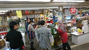 20170219 - {̎薡X̗lq@-_3