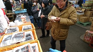 20170219 - O`̎HƐV̑@-_5