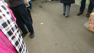 20170219 - O`̎HƐV̑@-_7