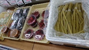 20170225 - T̔ł@-_13