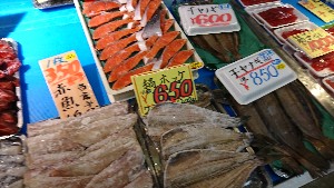 20170225 - T̔ł@-_31