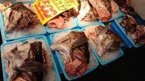 20170225 - T̔ł@-_36
