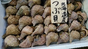 20170225 - T̔ł@-_43