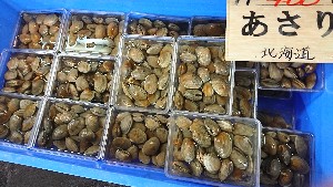 20170225 - T̔ł@-_45