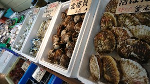 20170225 - T̔ł@-_46