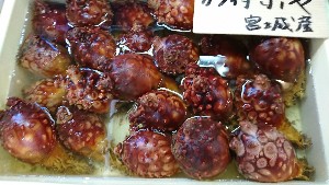 20170225 - T̔ł@-_47