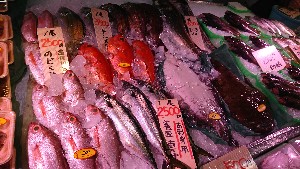 20170225 - T̔ł@-_50