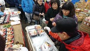 20170226 - ʊIIcXIX[p[CN̂Љ@|_21
