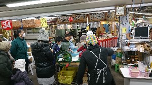 20170226 - {̎薡X̗lq@|_5