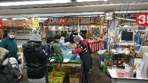 20170226 - {̎薡X̗lq@|_6