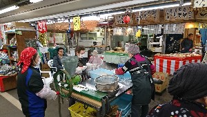 20170226 - {̎薡X̗lq@|_9