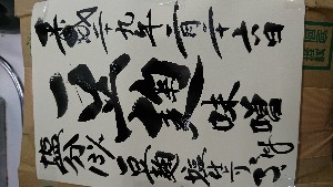 20170226 - {̎薡X̗lq@|_14