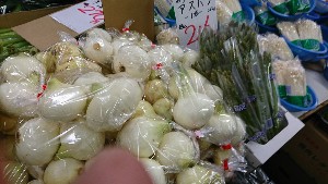 20170304 - T̔s@|_8