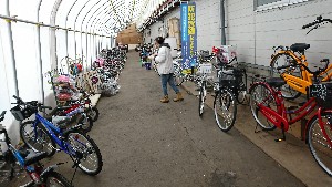 20170304 - T̔s@|_15