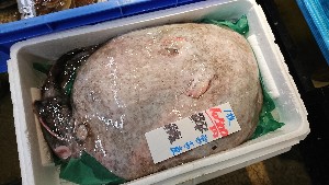 20170304 - T̔s@|_38
