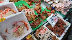 20170304 - T̔s@|_45