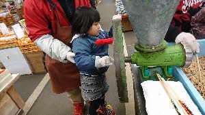 20170305 - {̎薡X̂悤@|_6