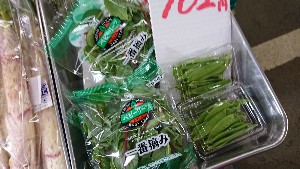 20170318 - T̔ł -_8