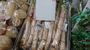 20170318 - T̔ł -_9