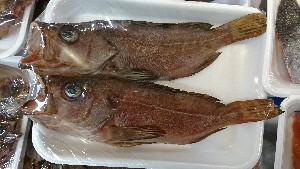 20170318 - T̔ł -_38