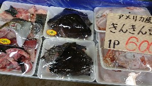 20170318 - T̔ł -_44