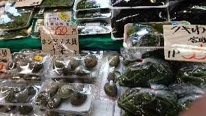 20170318 - T̔ł -_53