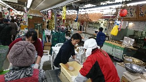 20170319 - {̎薡X̗lq -_2