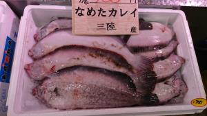 20170114 -@T̔ł -_1