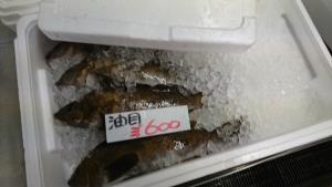 20170114 -@T̔ł -_1
