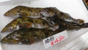 20170114 -@T̔ł -_1