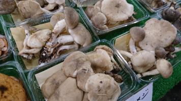 20181006